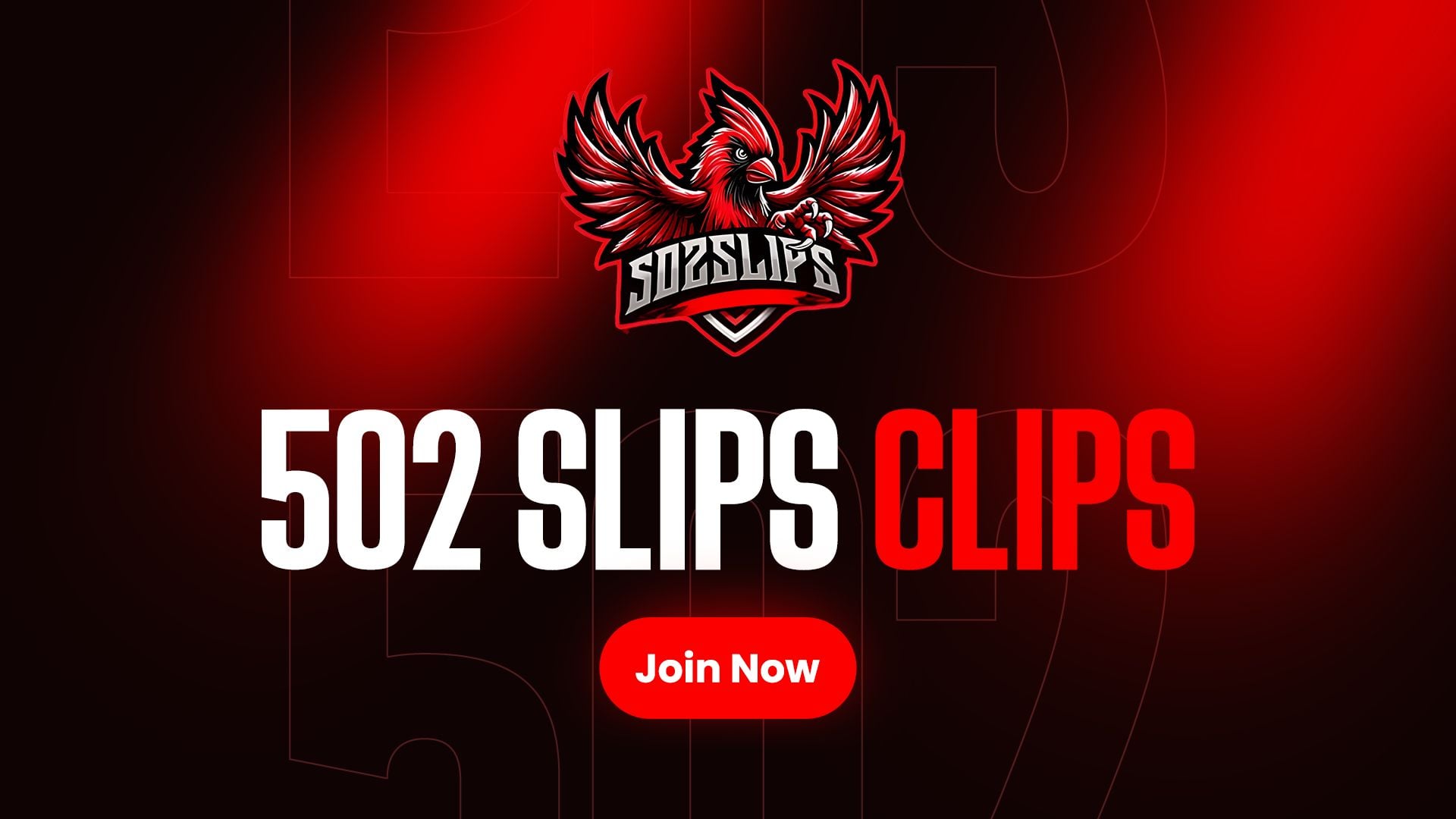 502slips clips!