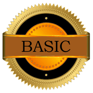 Basic Package (1 Month Plan )