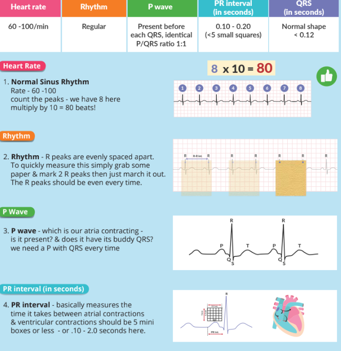 Study Easier: Nursing Template