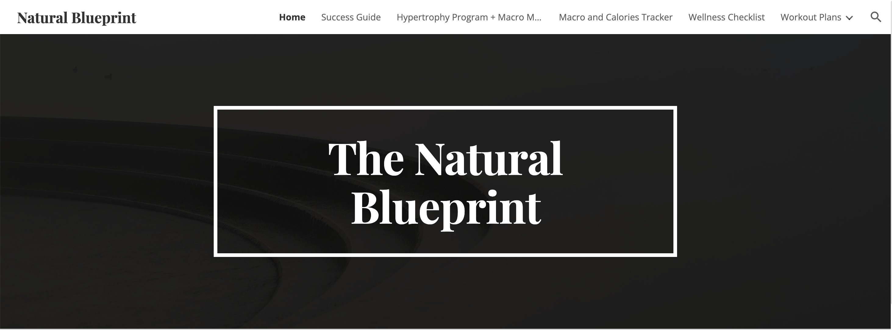 The Natty Blueprint