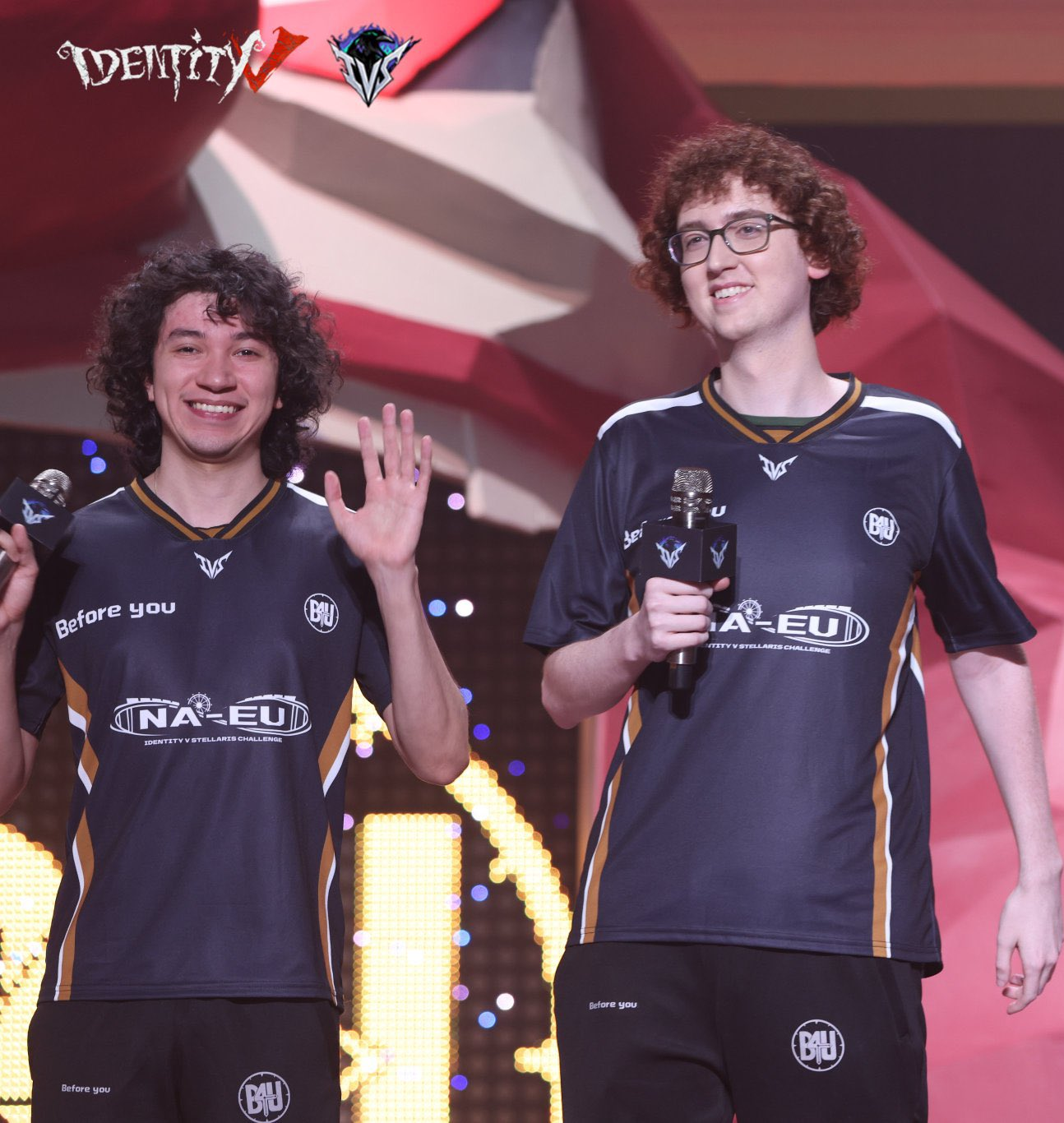 IDV Coaching Discord DMs