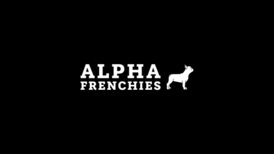 Frenchie Care Blueprint
