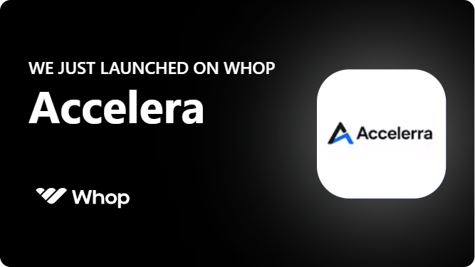 Accelerra: Digital Marketing 