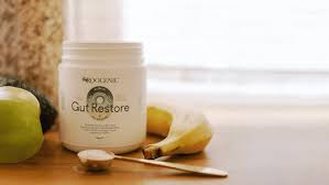 Gut Reset Blueprint