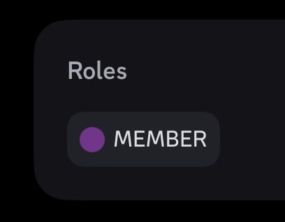 Member Role👤
