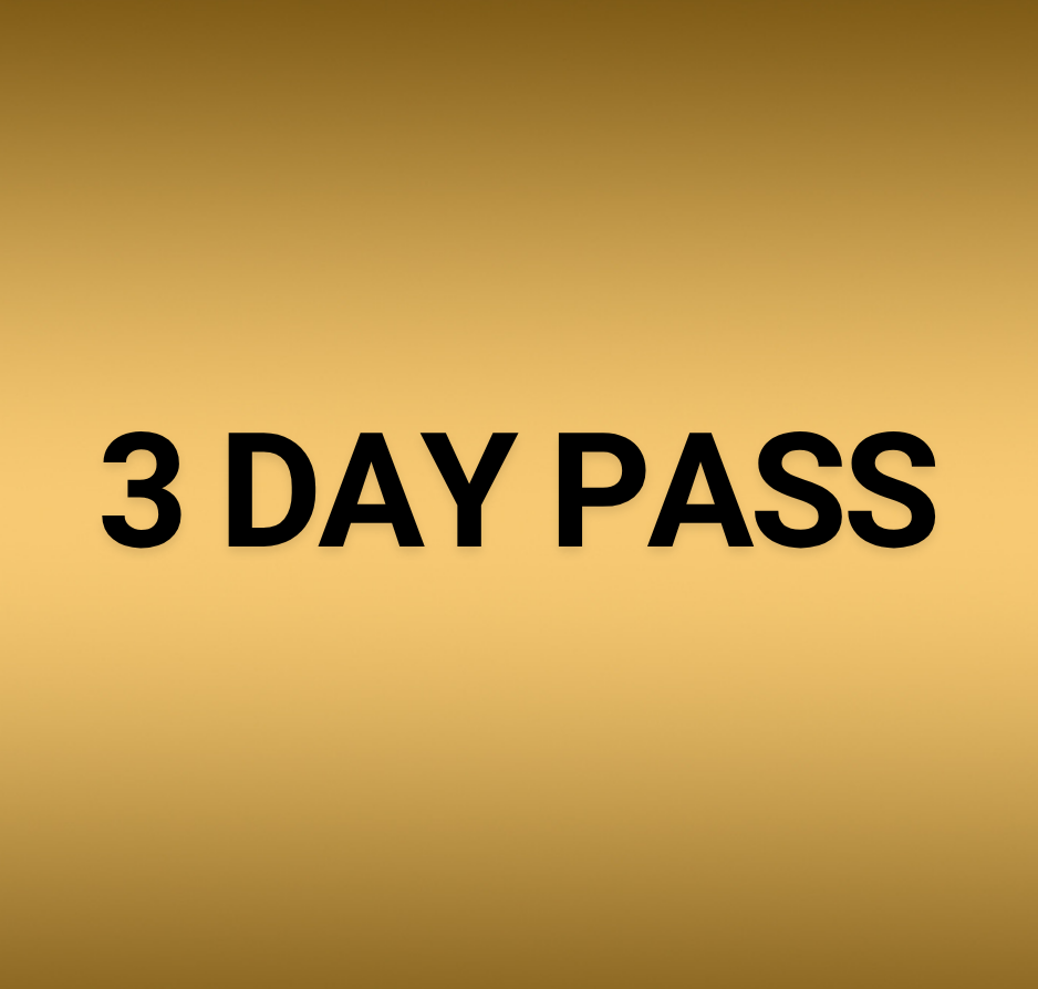 3 Day Pass