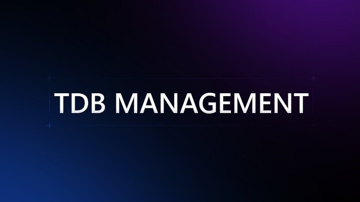 TDB MANAGEMENT MUSIC SERVICE