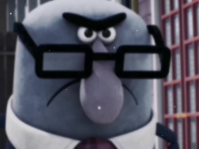 Adam D