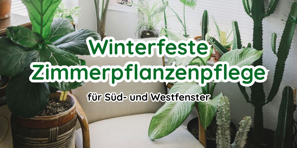 E-Book - Pflanzen im Winter