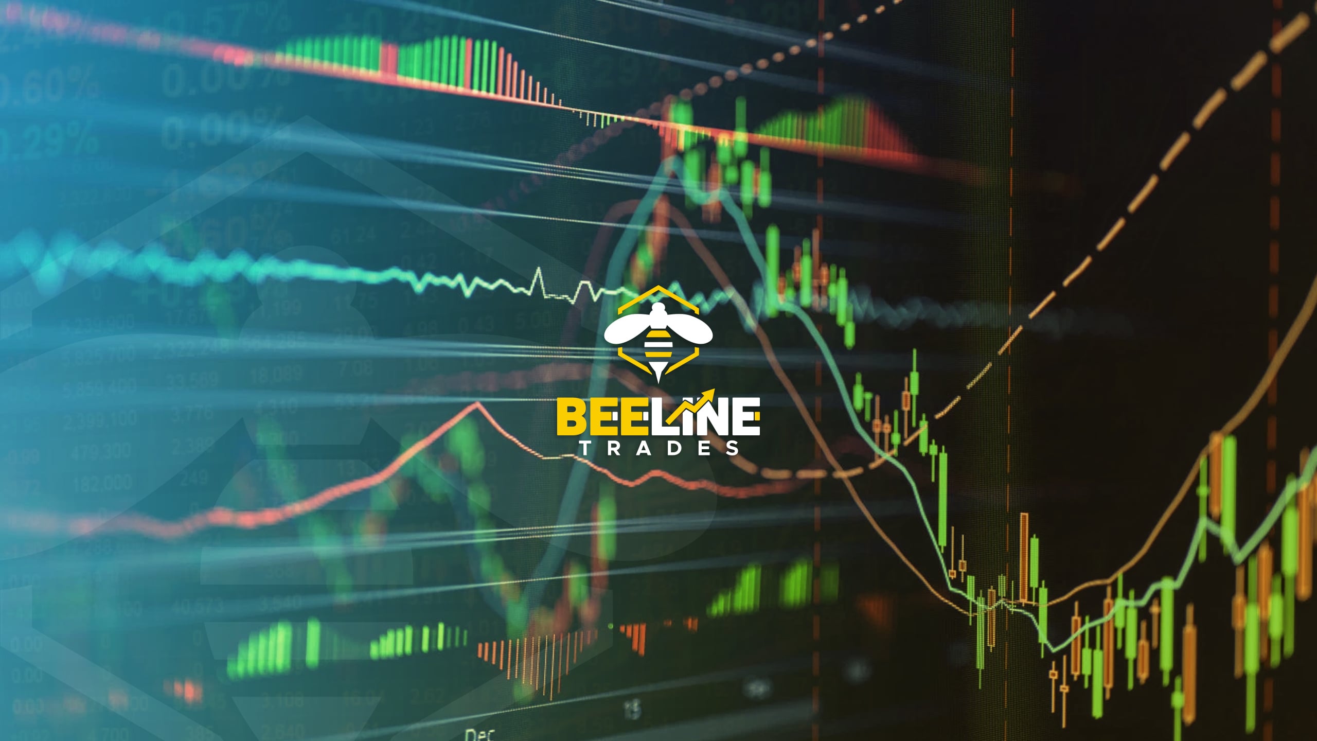 Beeline Collective Free Access