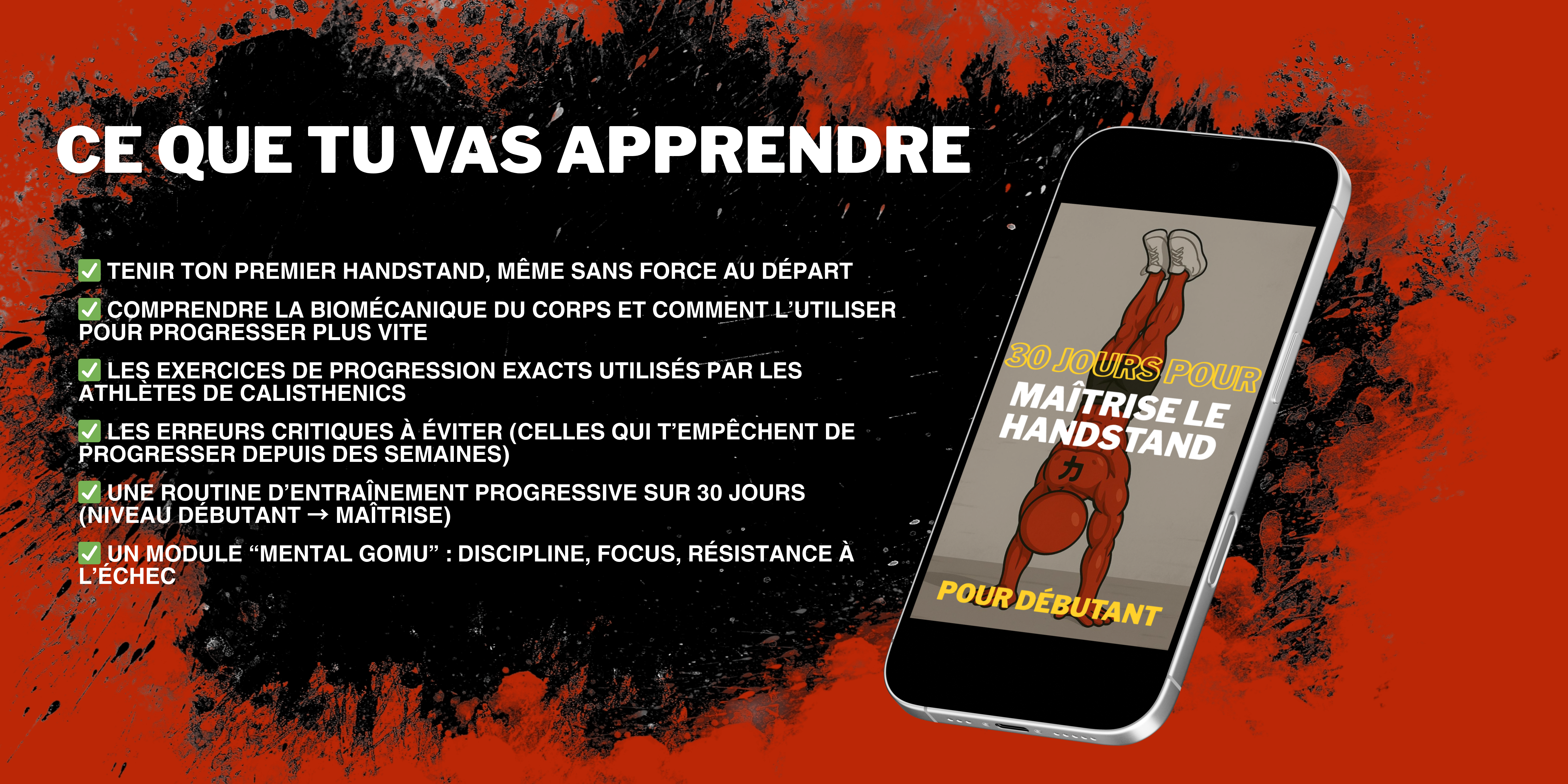 Maitrise handstand