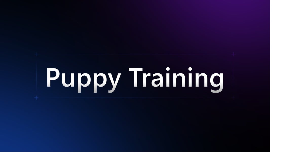 Puppy Training