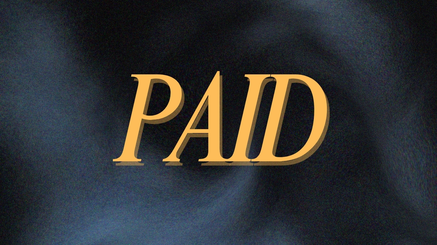 The Paid Portfolio Book
