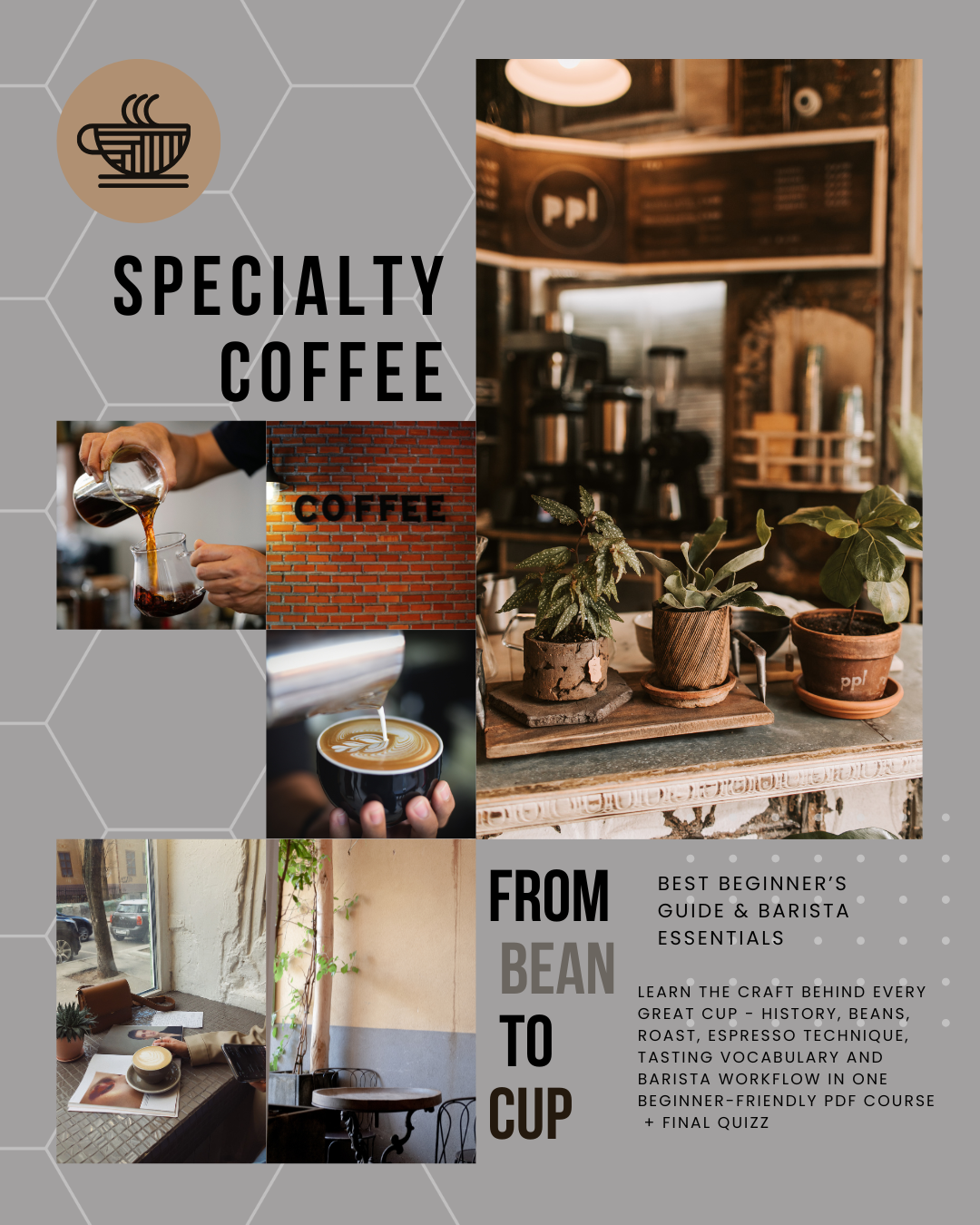 Specialty Coffee Guide