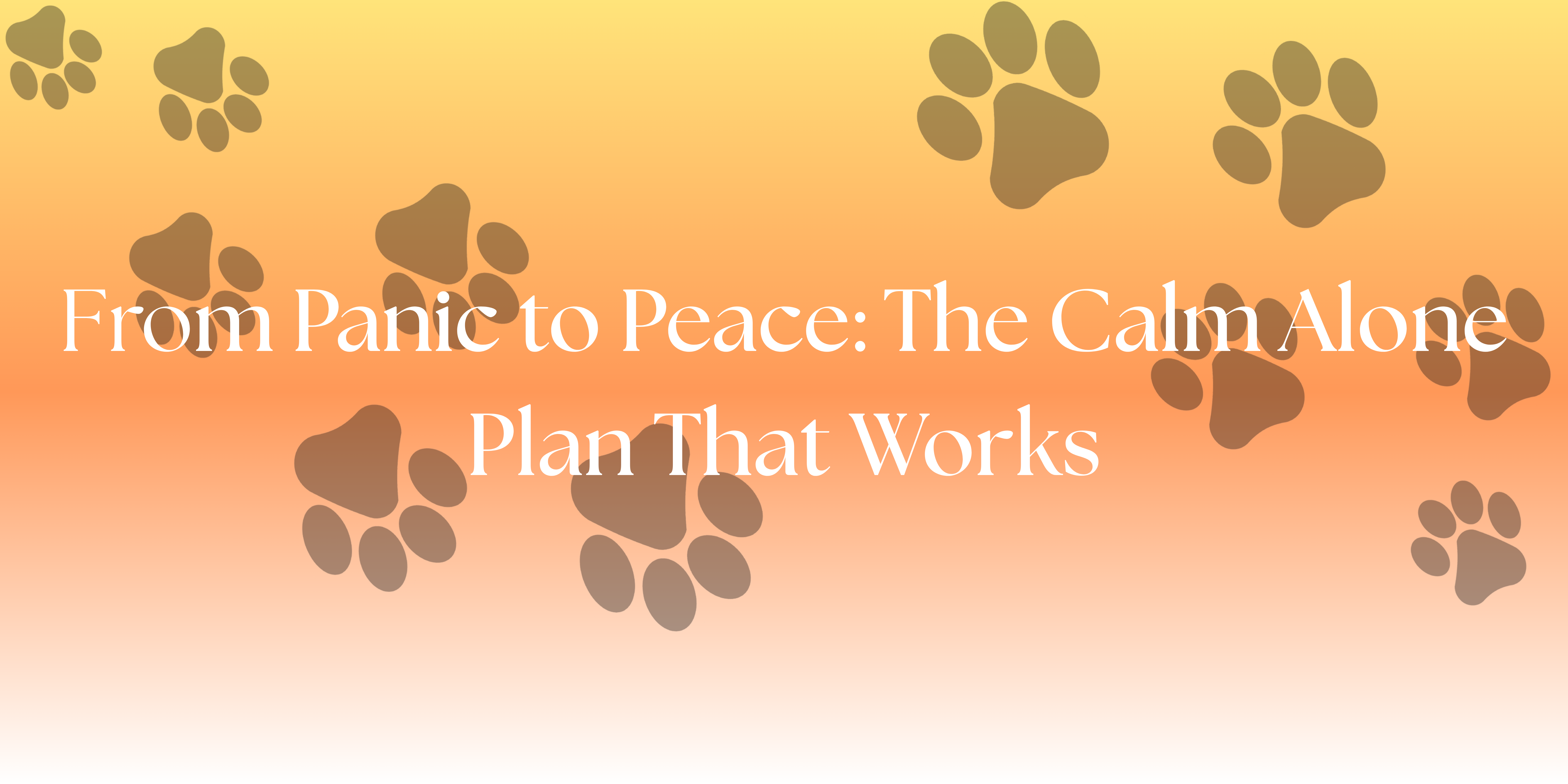 The calm dog protocol