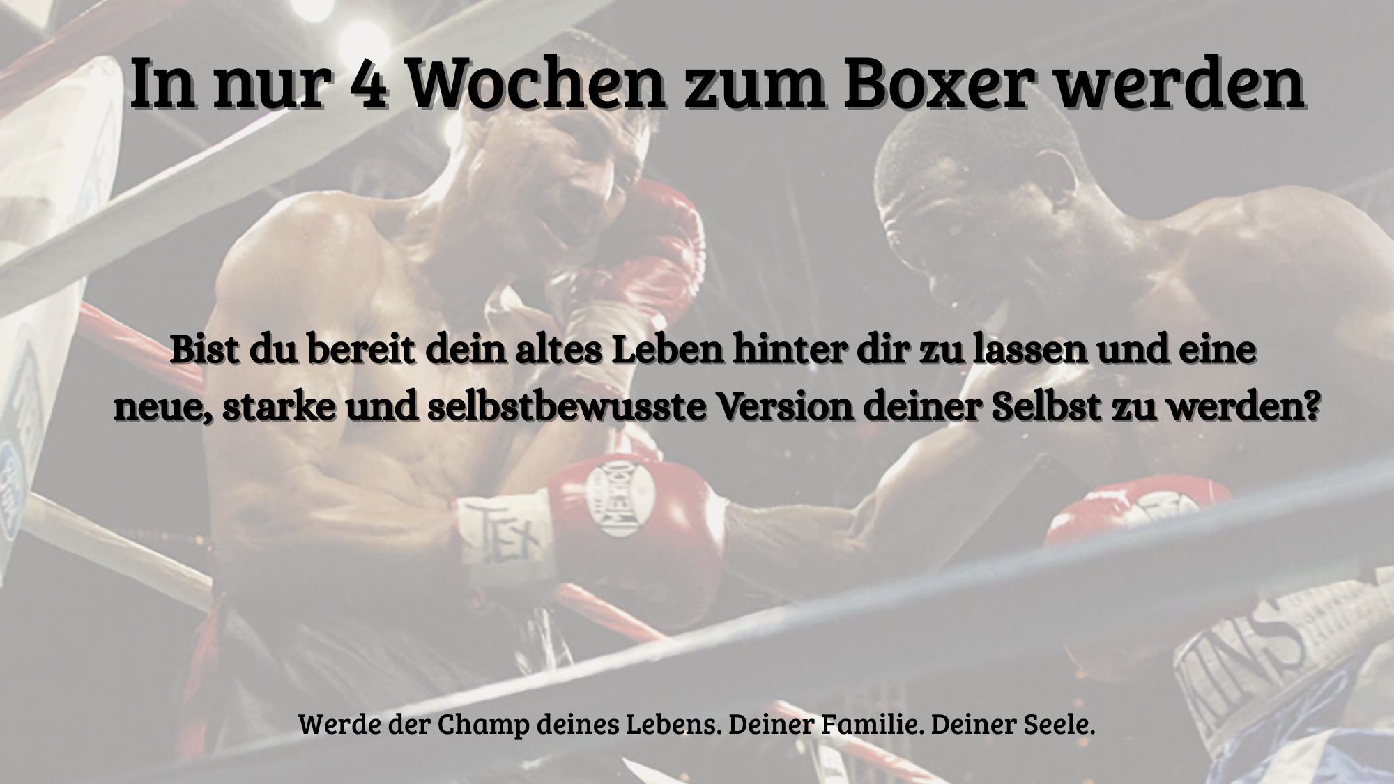 Boxer Masterclass