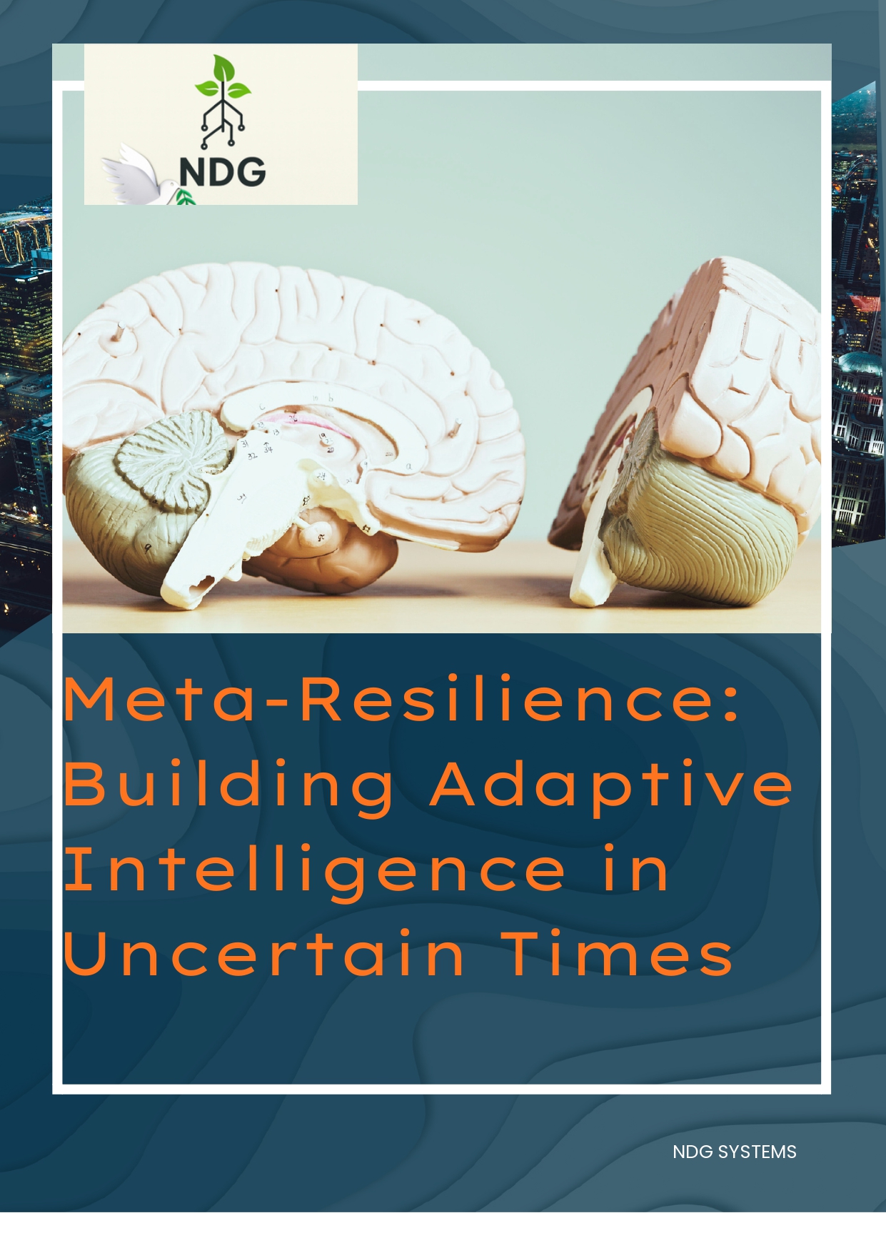 Building Adaptive Intelligence