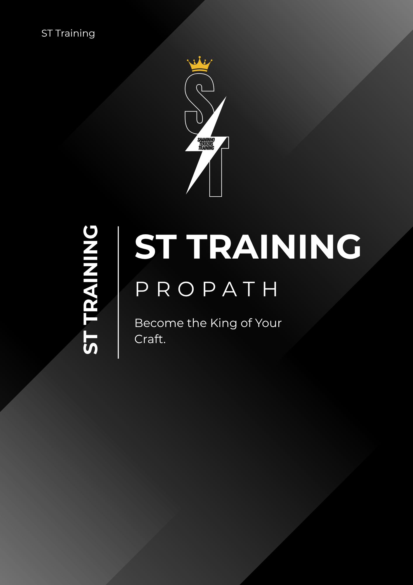 ST Training Pro Path2