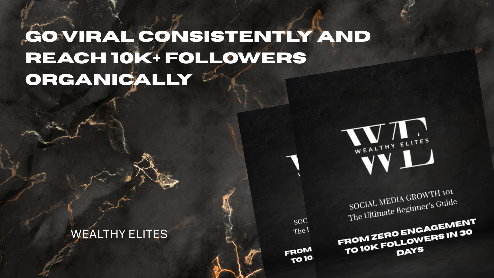 Social Media Growth 101 