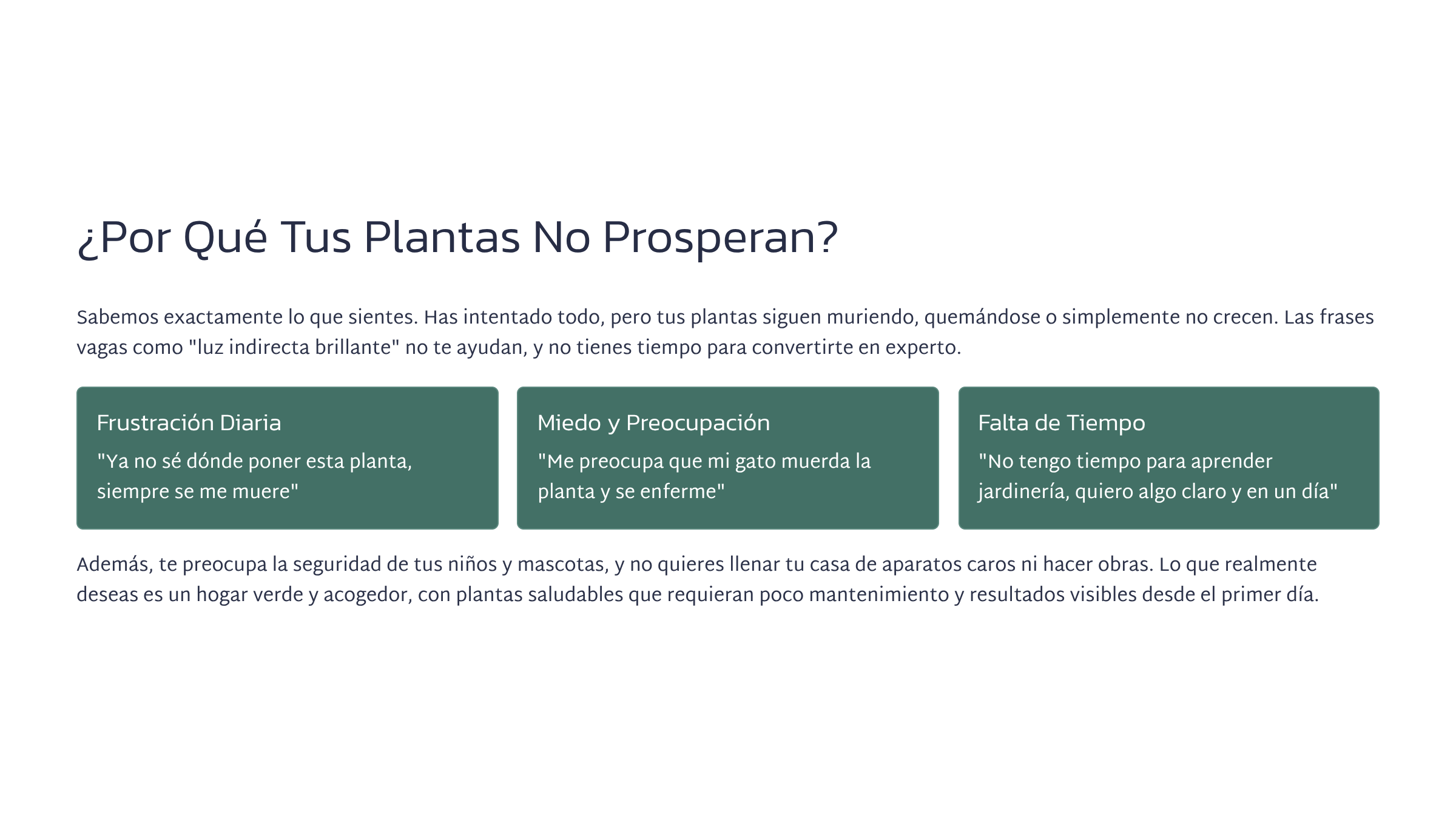 Plantas Felices En Un Día