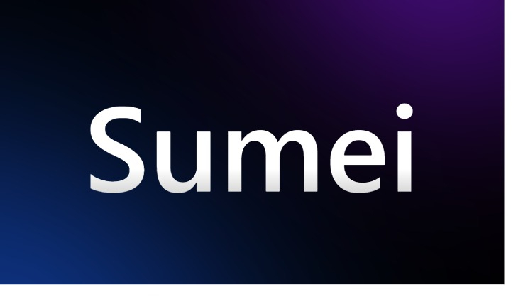 Sumei Lumbar Heat Wrap