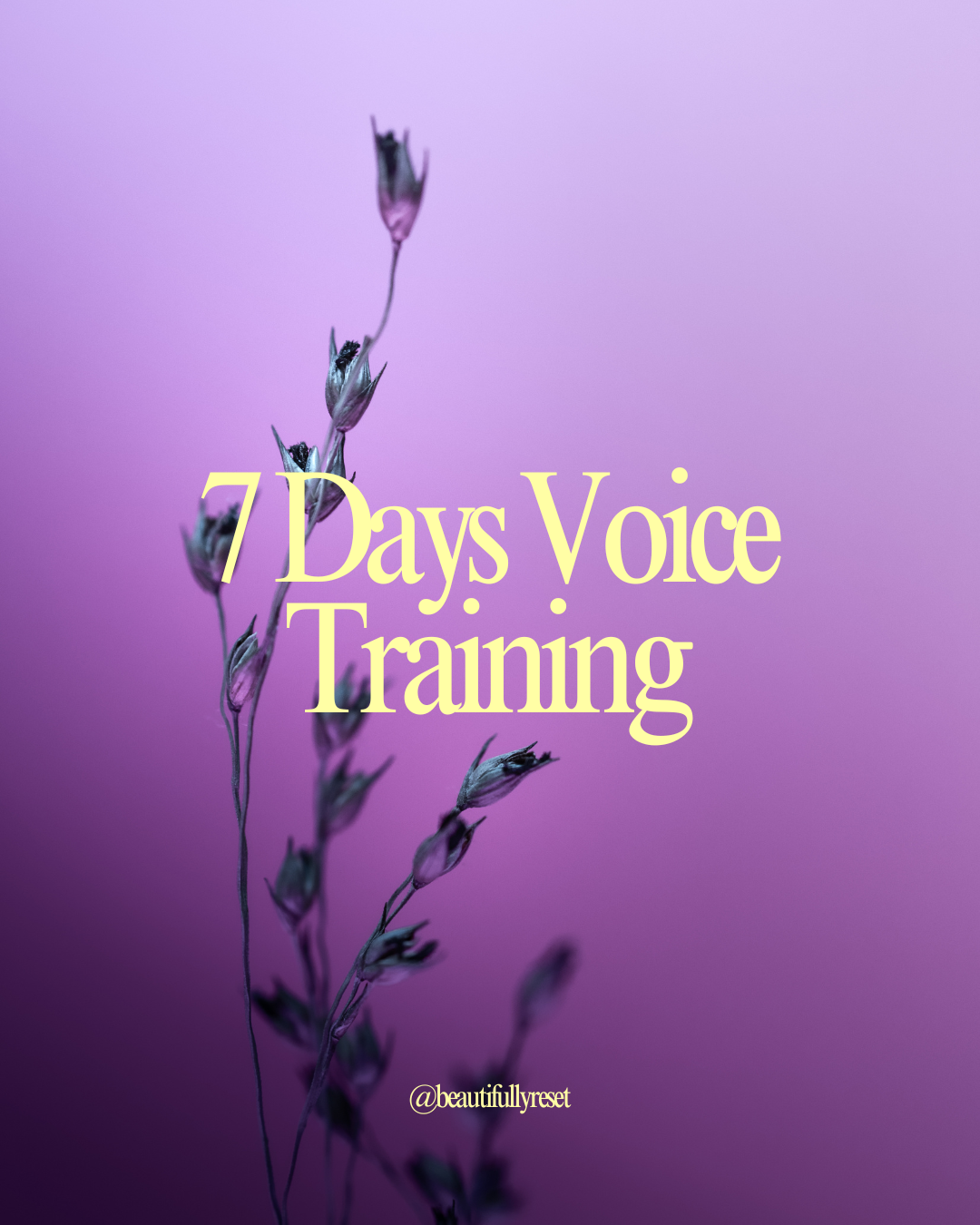 7 Days Voice Training Ebook