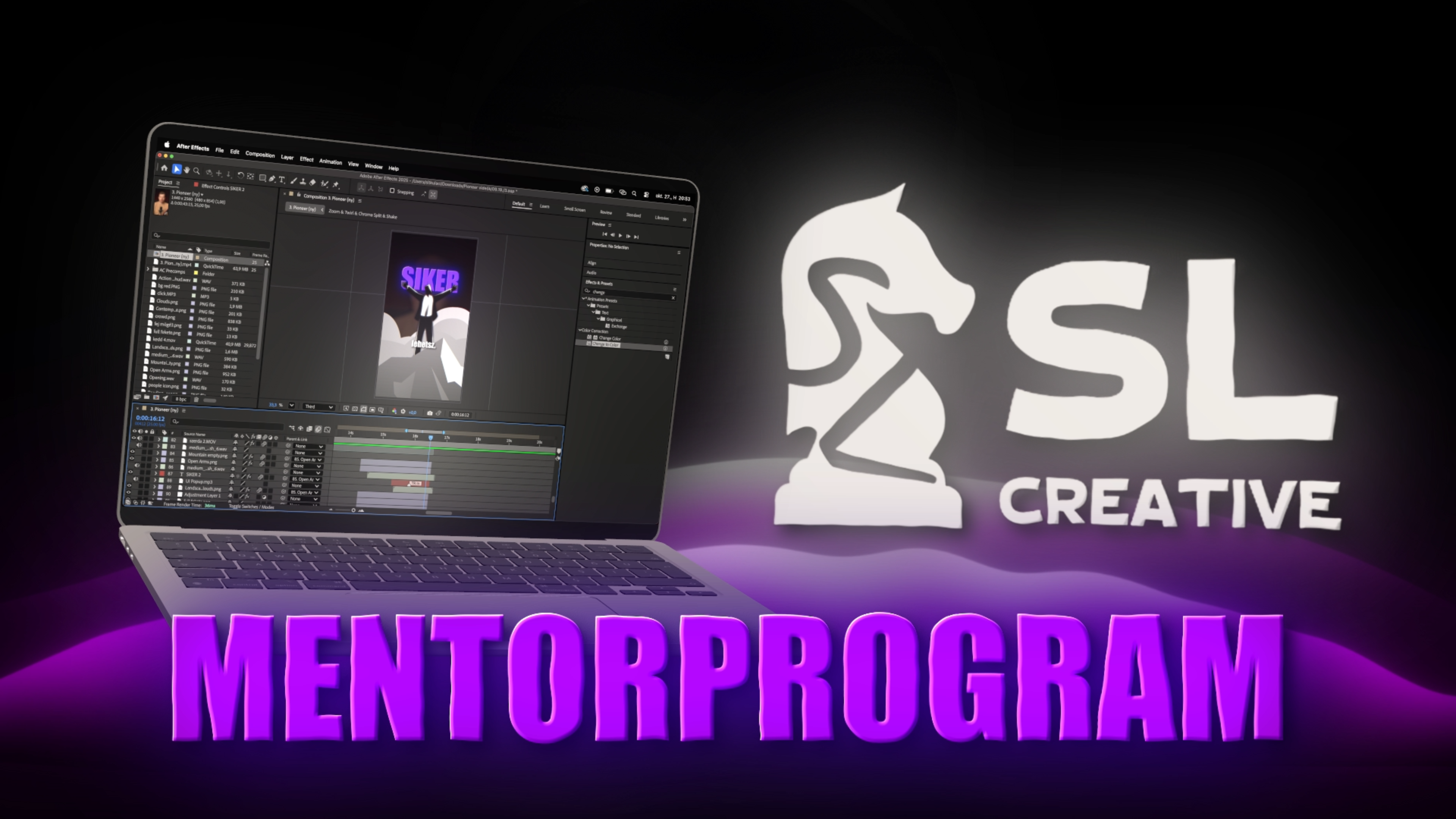 Mentorprogram