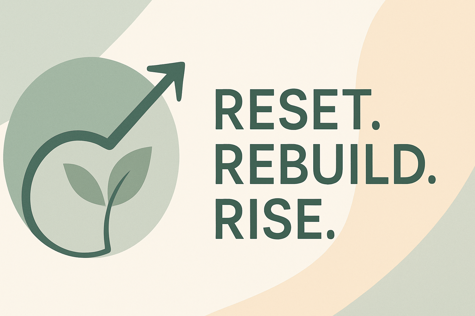 The Financial Reset System