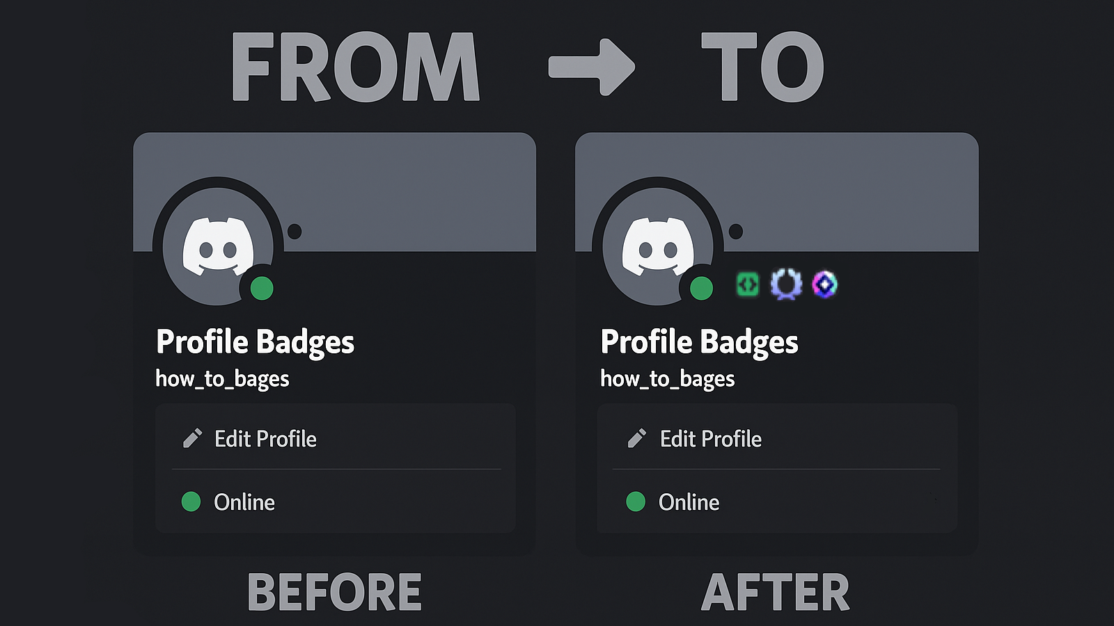 Discord Profile Badges