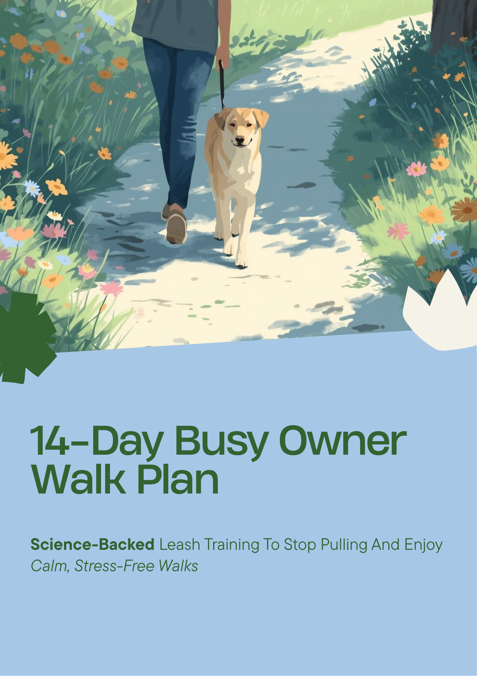 14-Day Busy Owner Walk Plan 