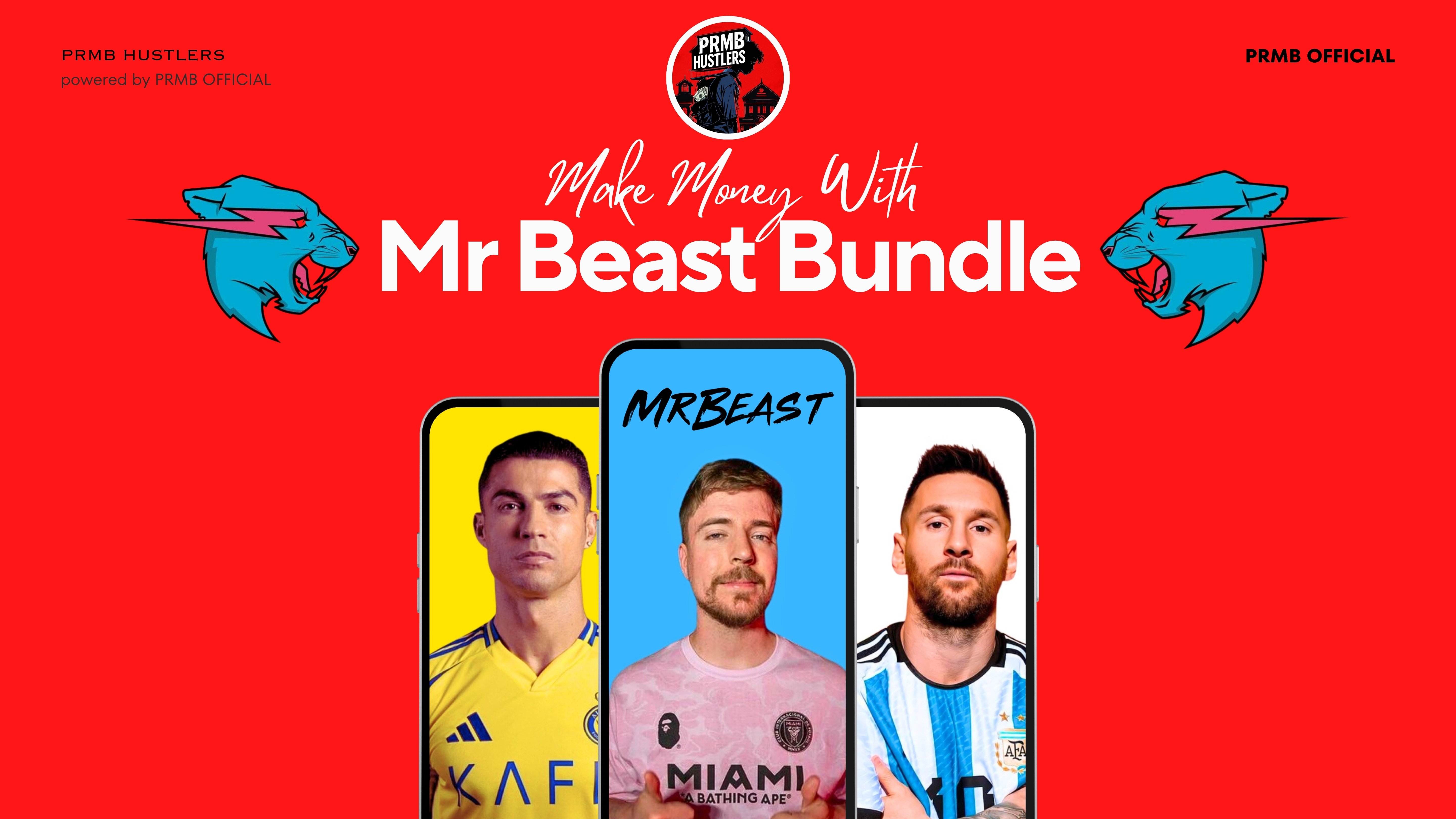 MR BEAST BUNDLE