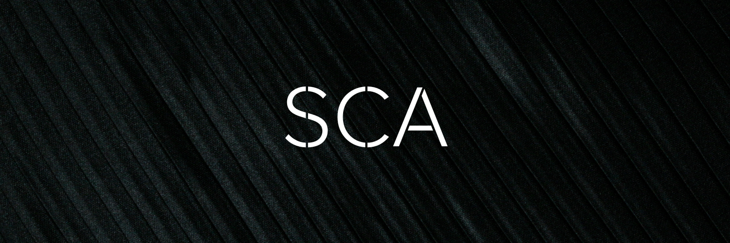 Startup Career Accelerator