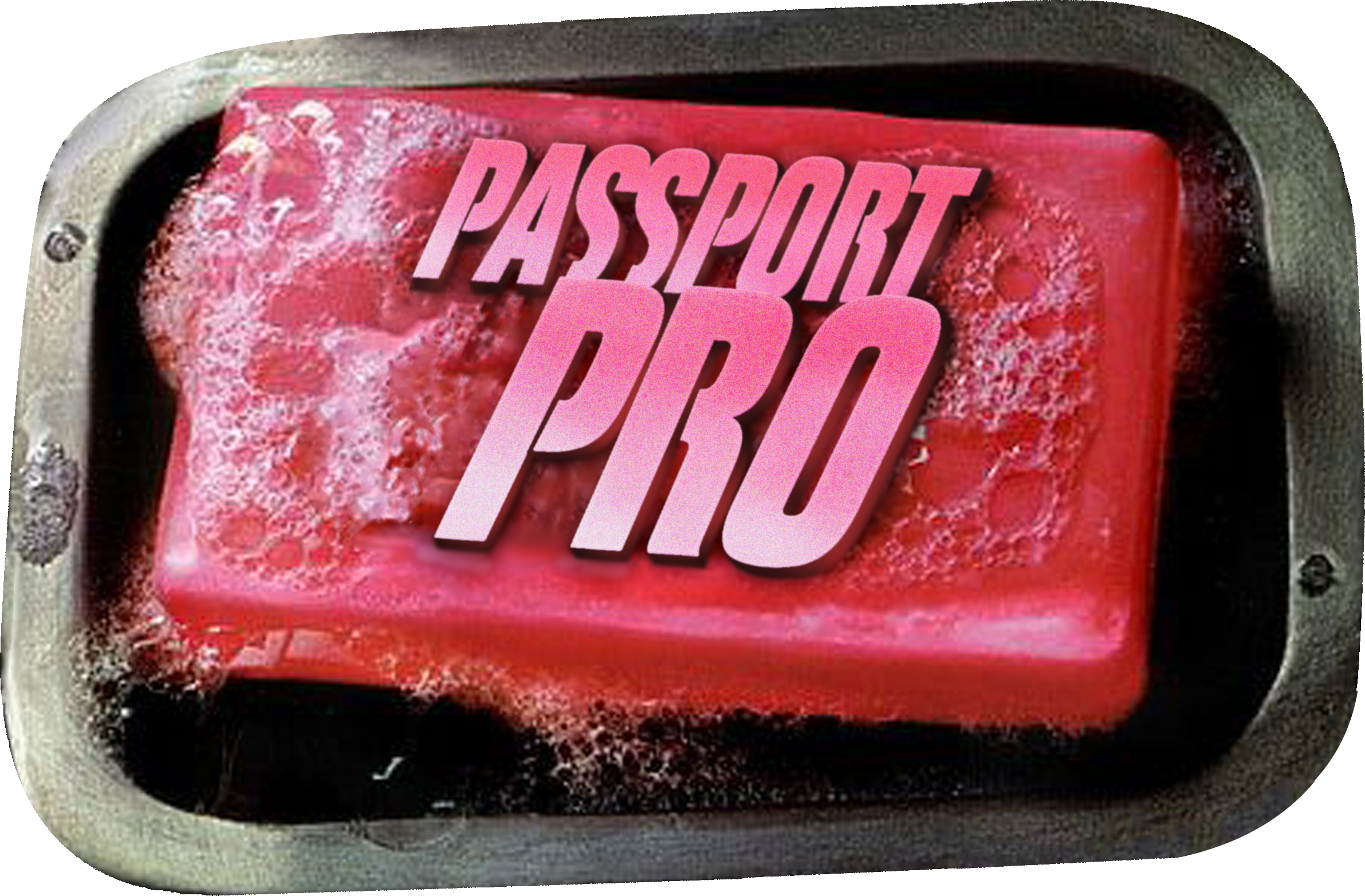 Passport Pro Discord 