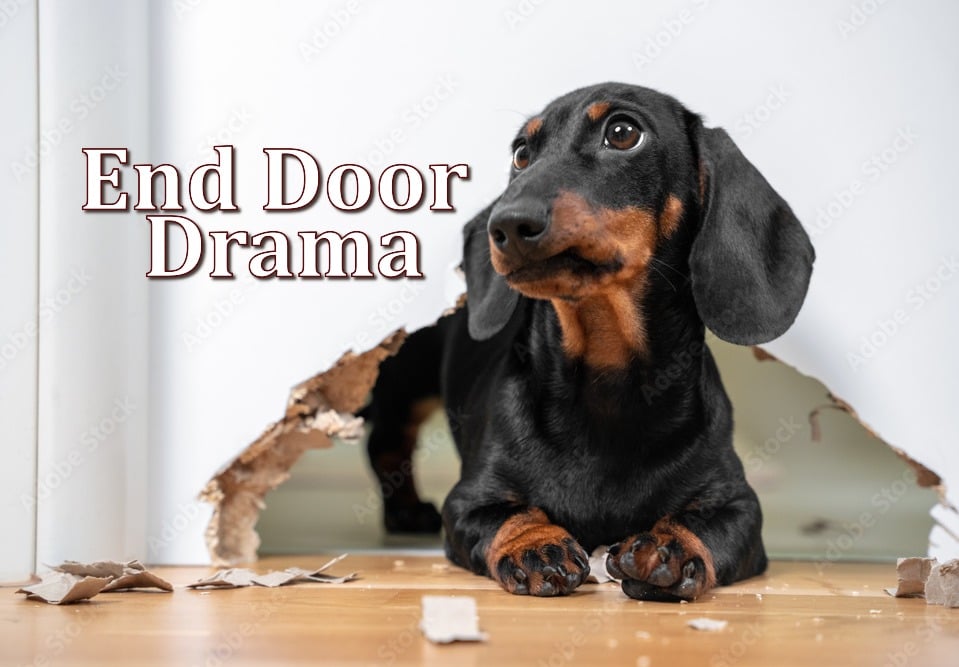 No More Pet Door Drama