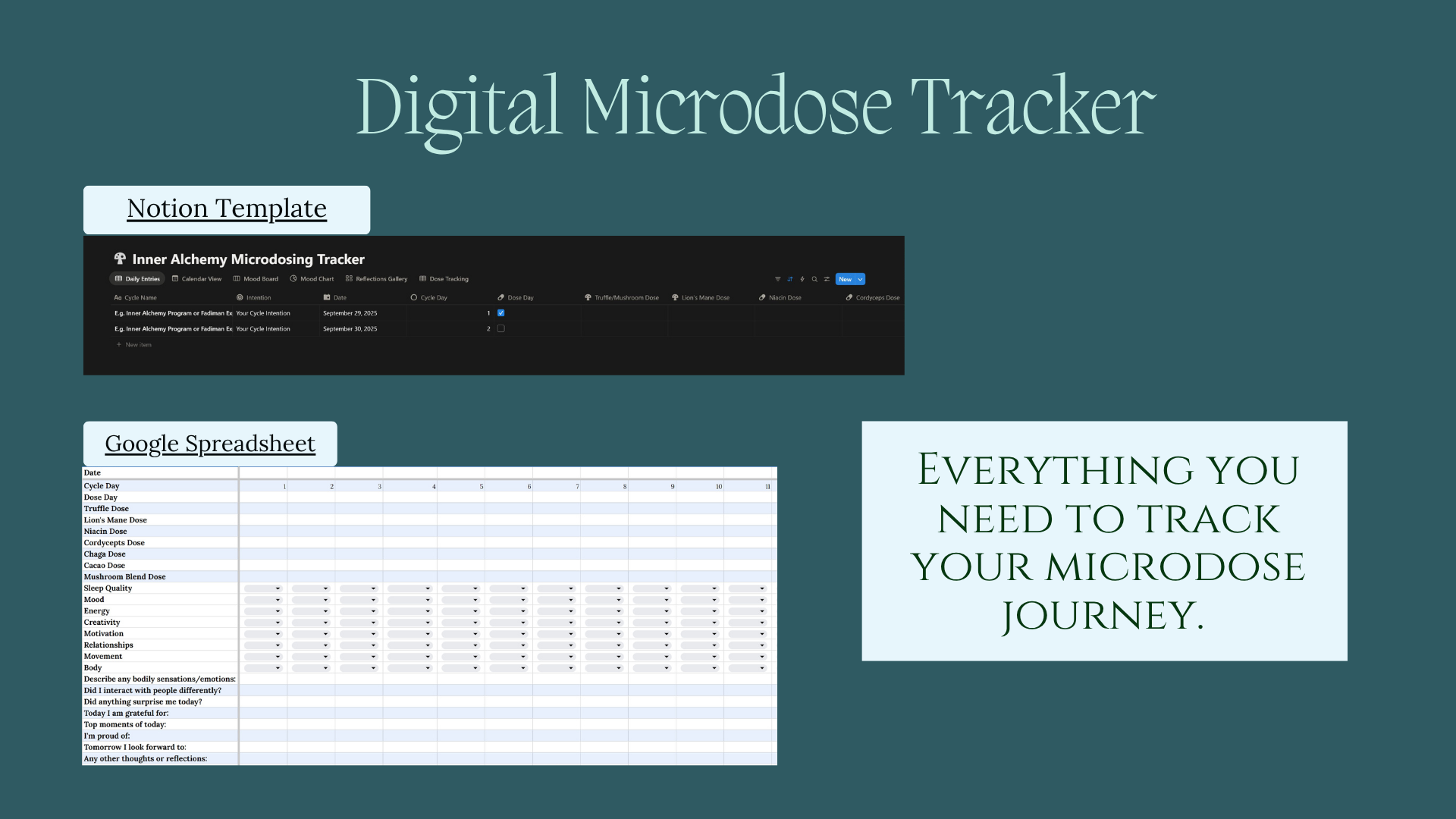 Microdosing Tracker Templates