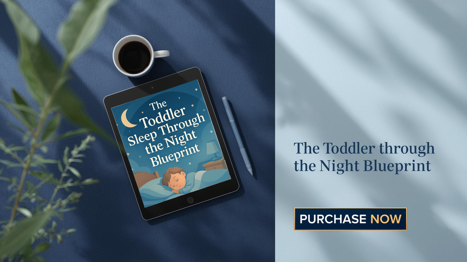 All Night Sleep Playbook
