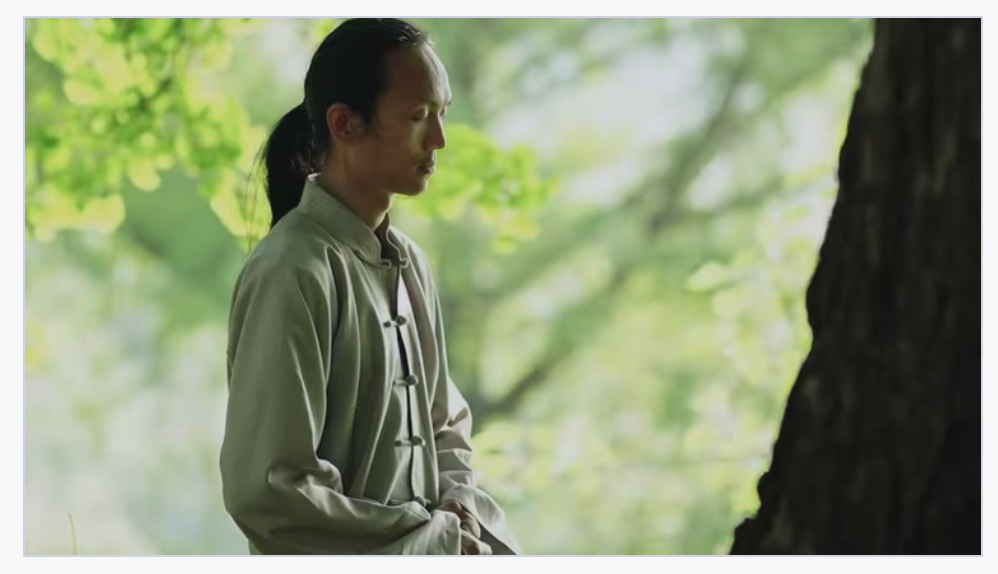 Chinese Wudang Kung Fu