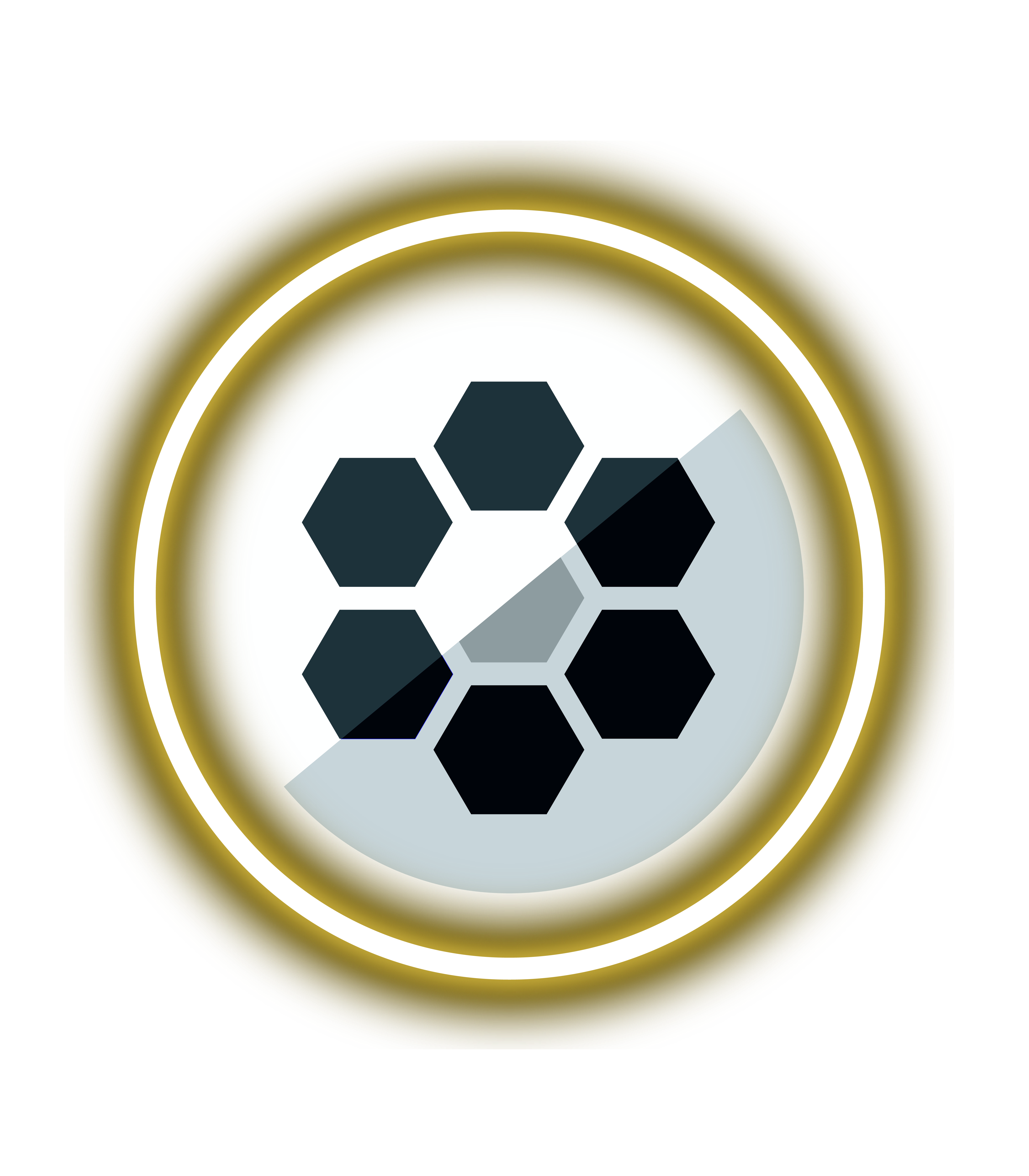 Speakhyve Boardroom (Gold)