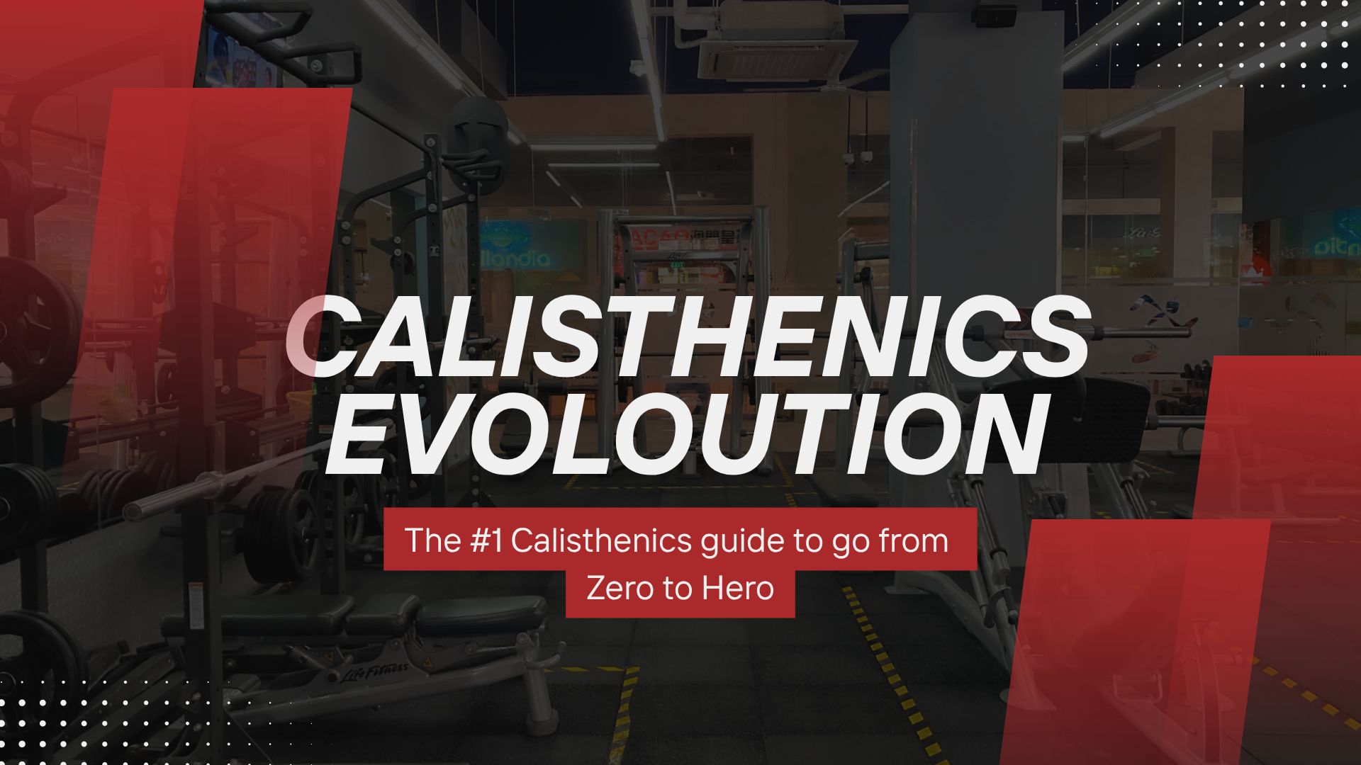 Calisthenics Roadmap