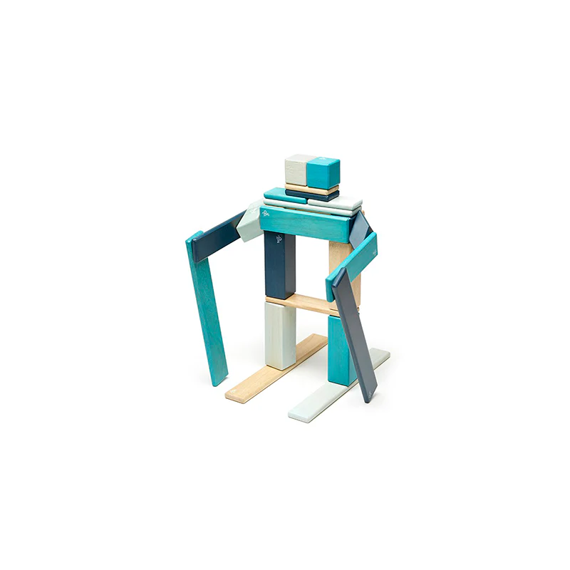Tegu 24-Piece Set + Tote
