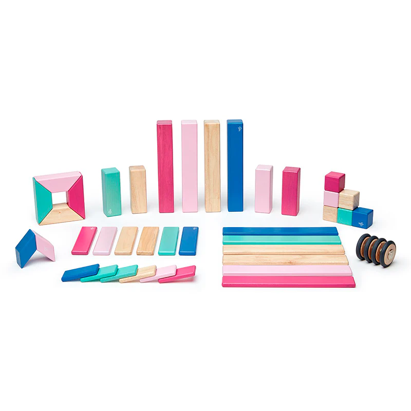 Tegu 42-Piece Magnetic Set