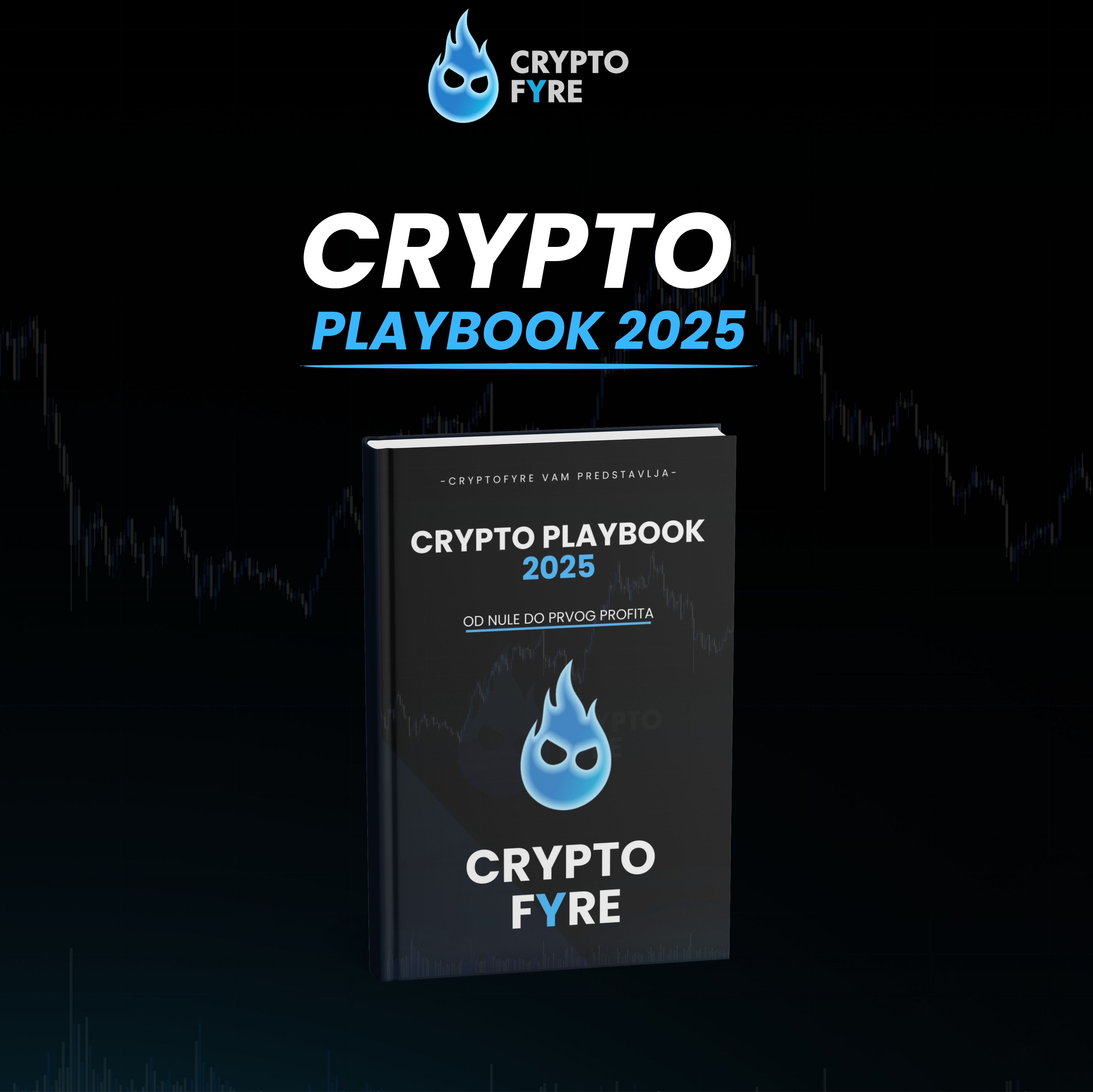 Crypto Playbook 2025 