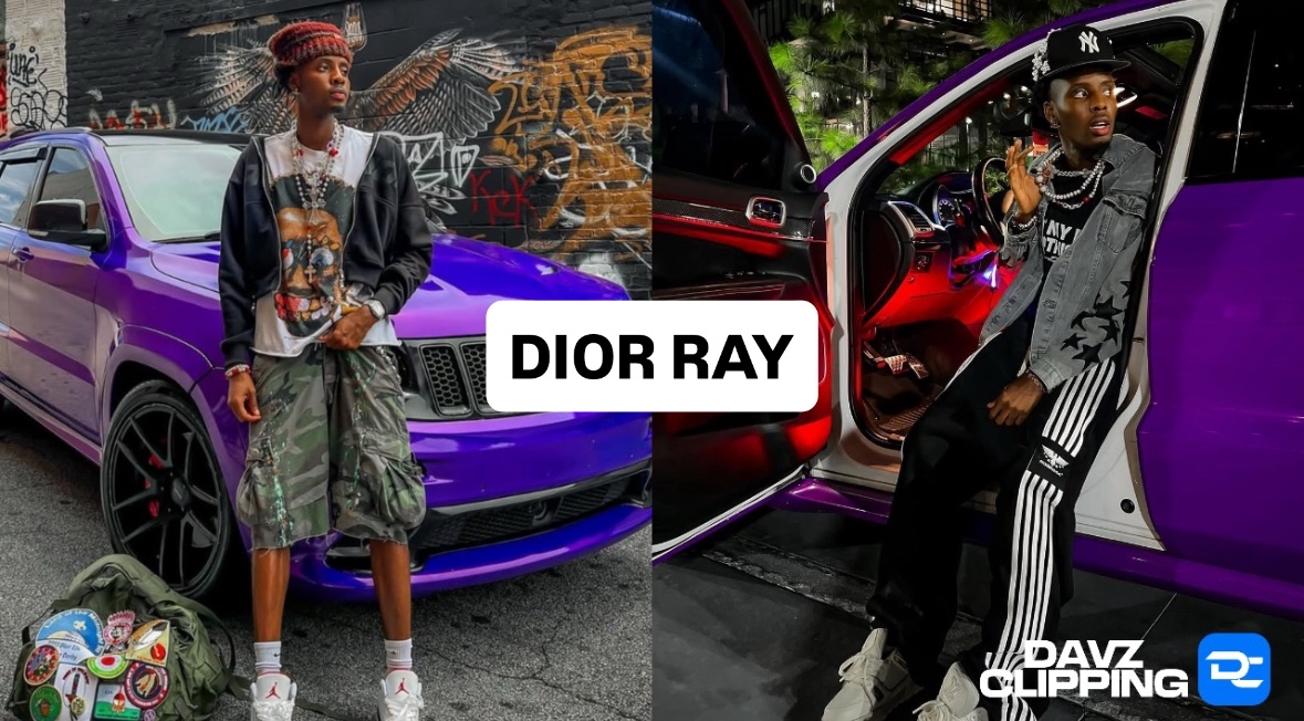Dior Ray Clips