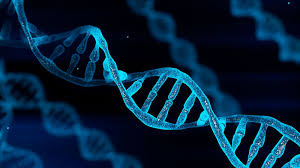 Peptide Full Guide