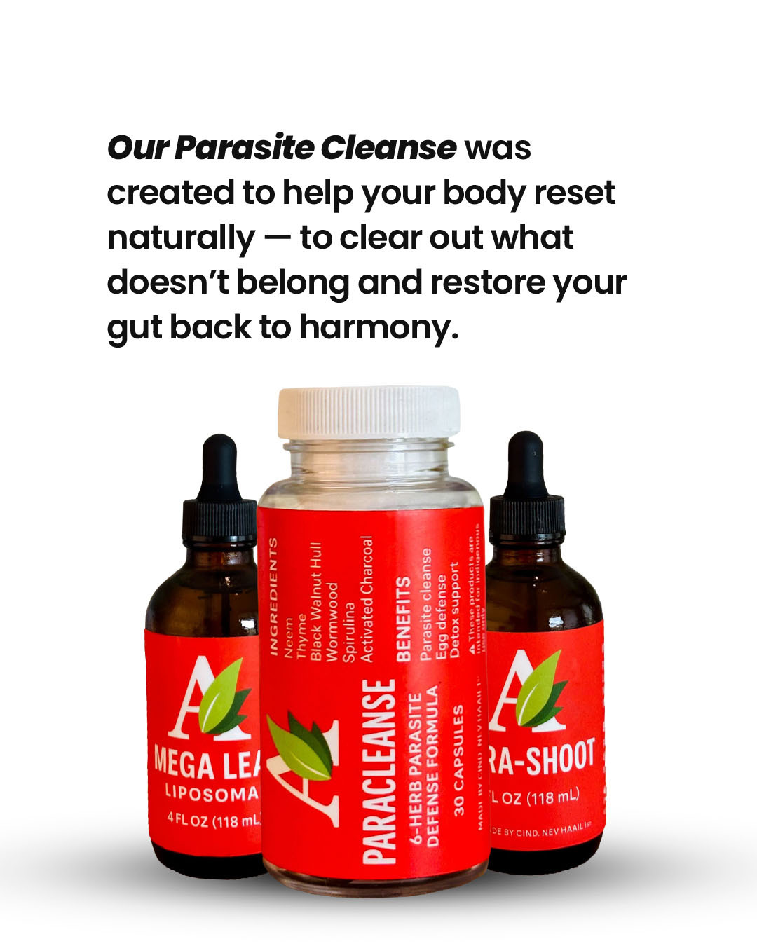 30-Day Parasite Cleanse