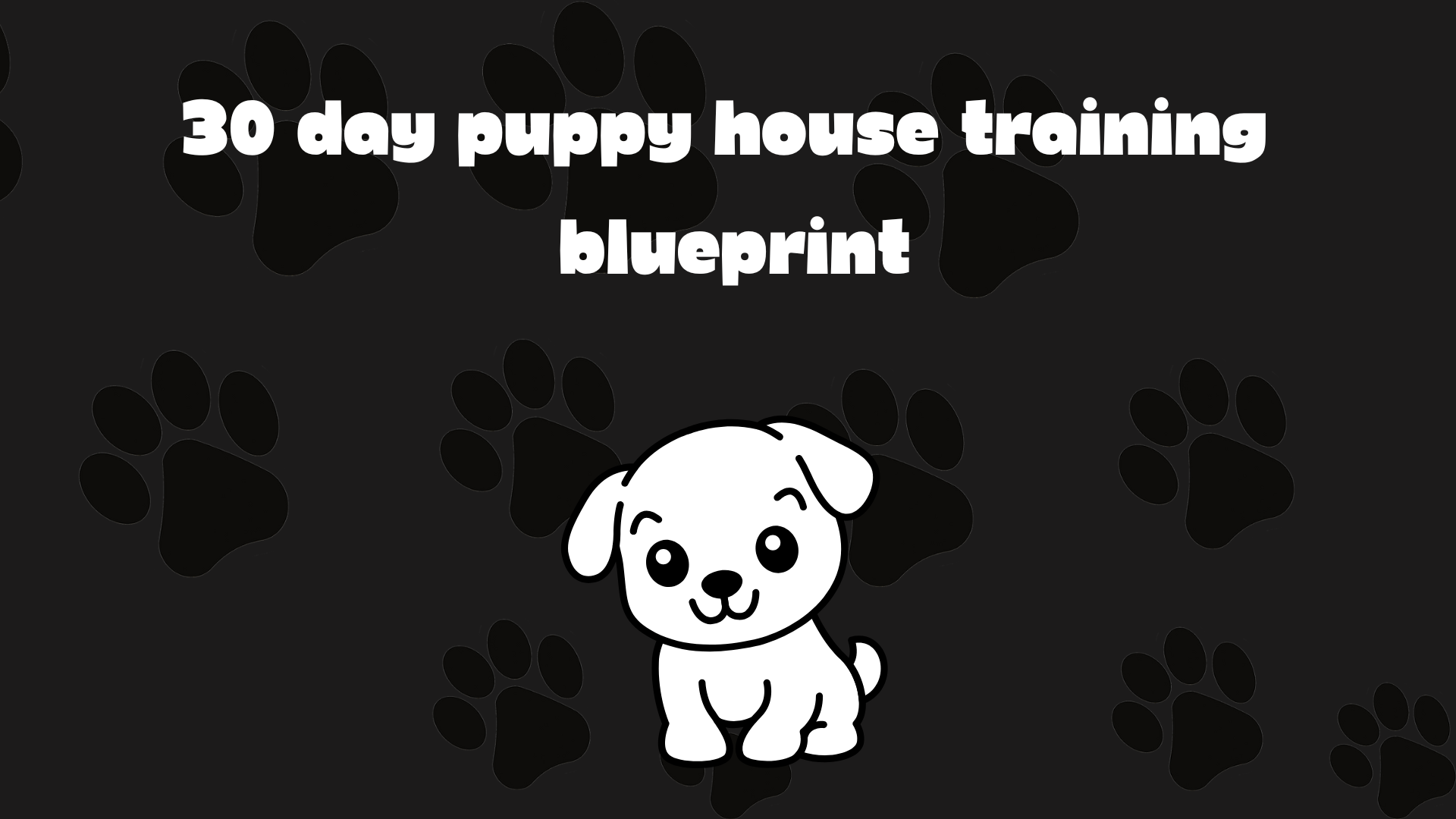 30 Day Puppy House Training