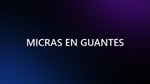 MICRAS EN LOS GUANTES