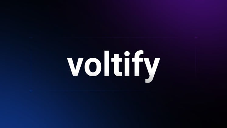Voltify ankle supports