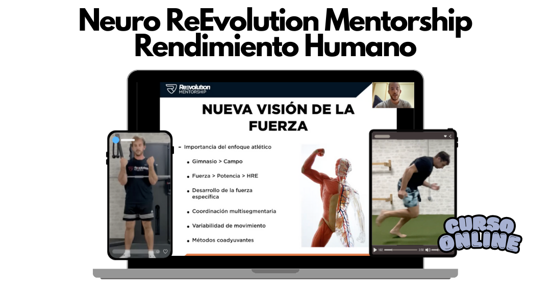 Rendimiento Humano