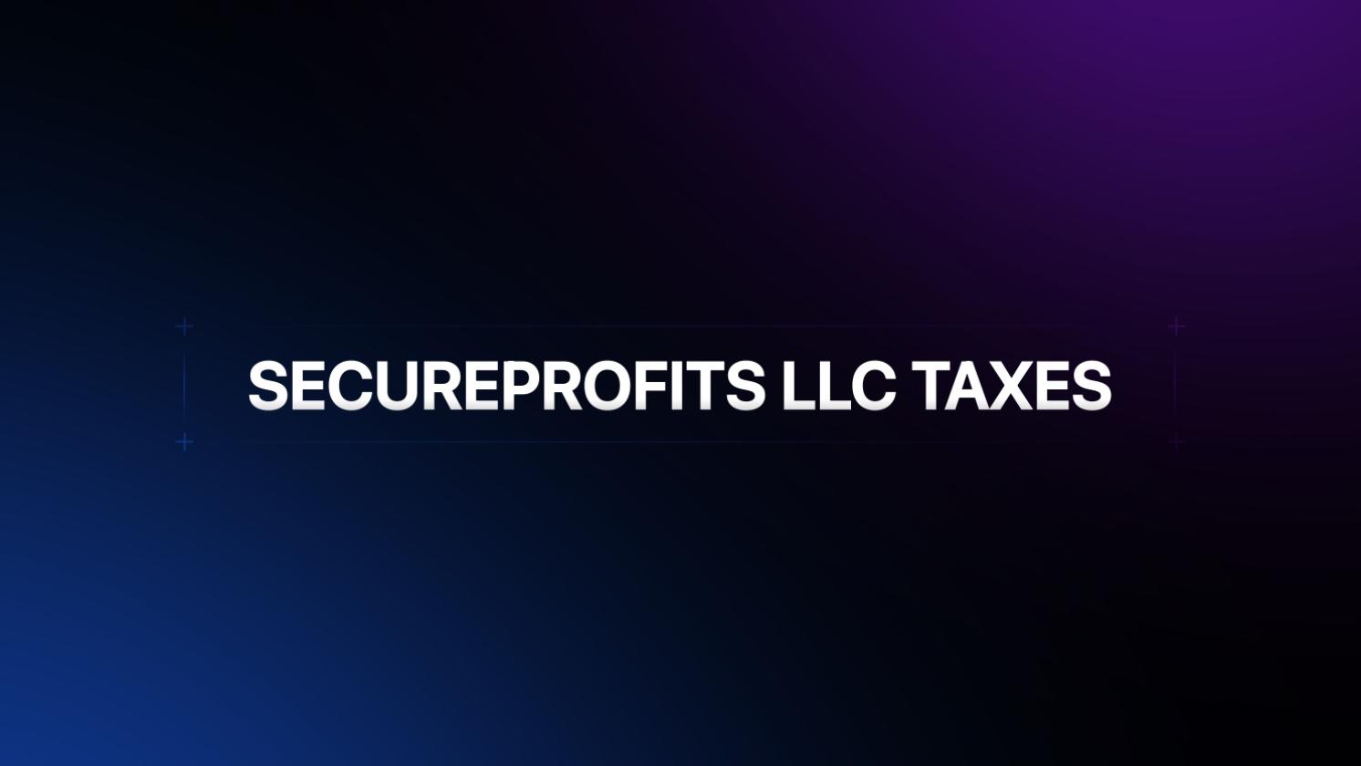 SECUREPROFITS LLC TAXES